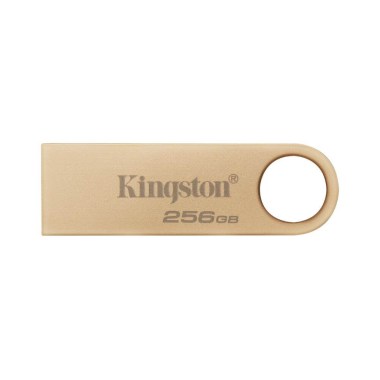 DTSE9G3256GB-TW (2)